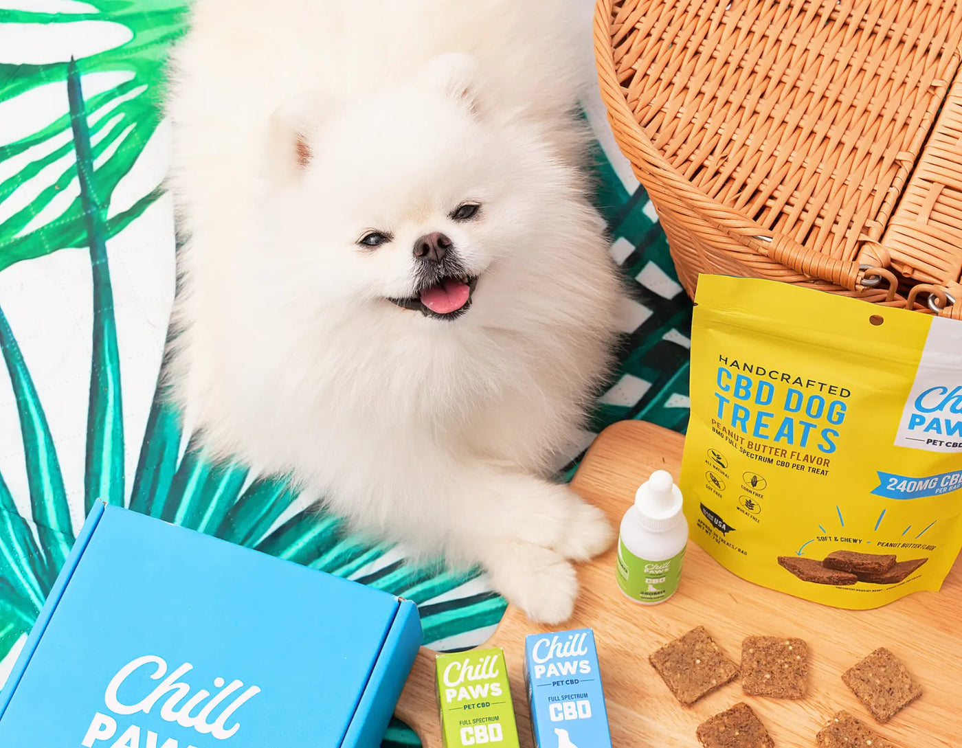 cbd for pets