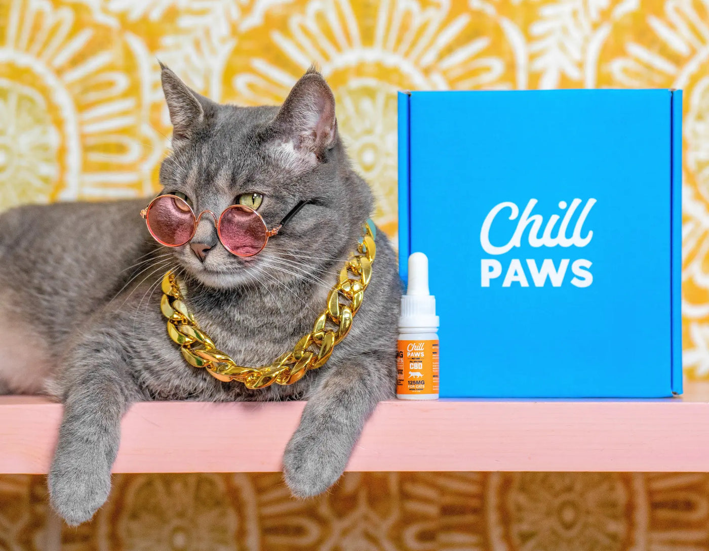 cbd for pet pain relief