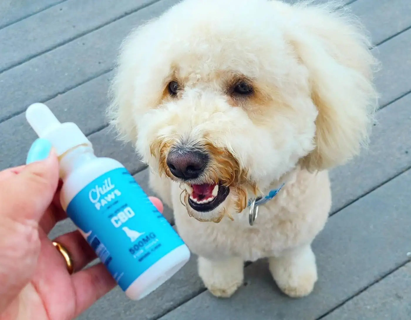 Soothe Your Pup's Fireworks Fears with CBD