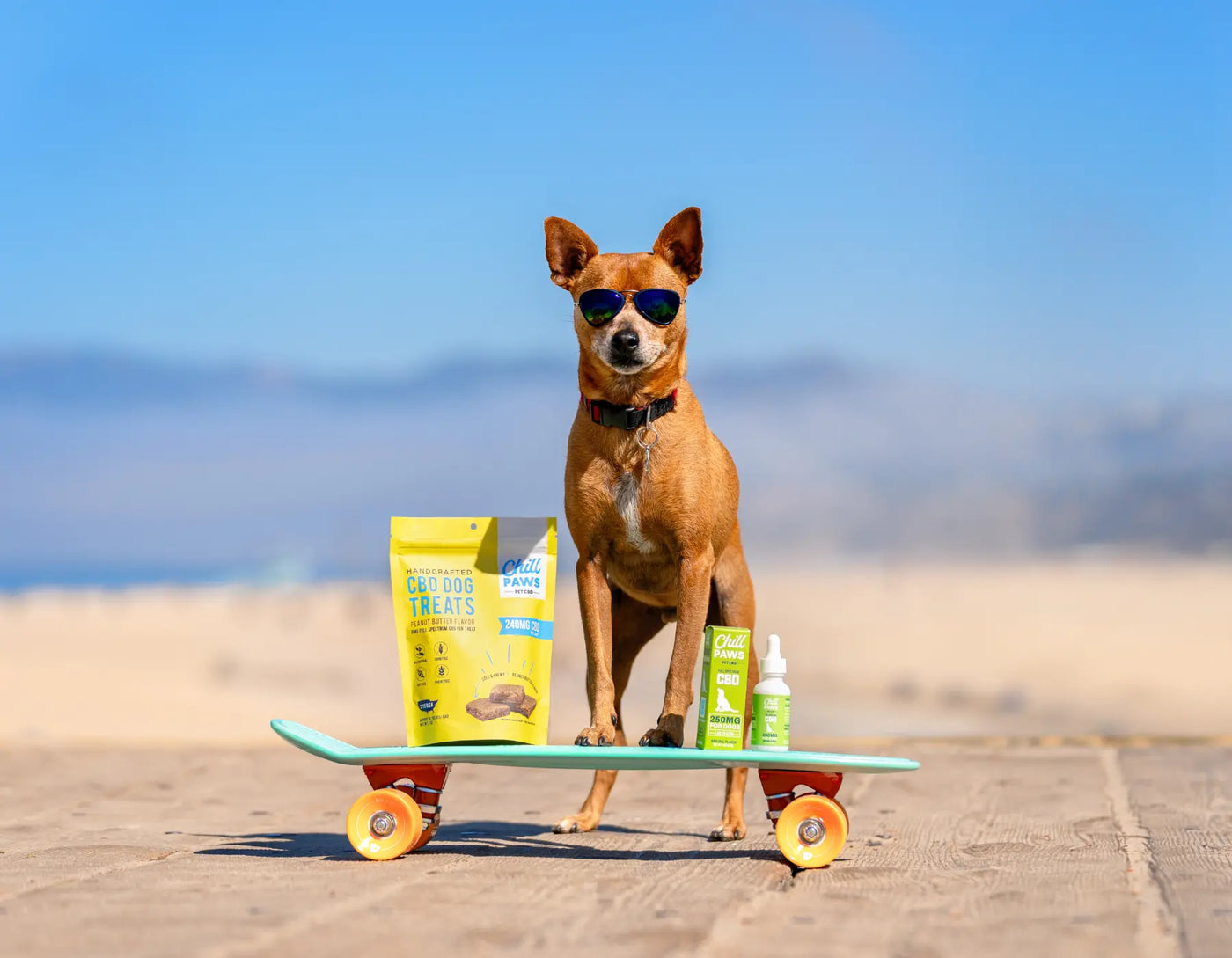 calming hemp treats for dogs